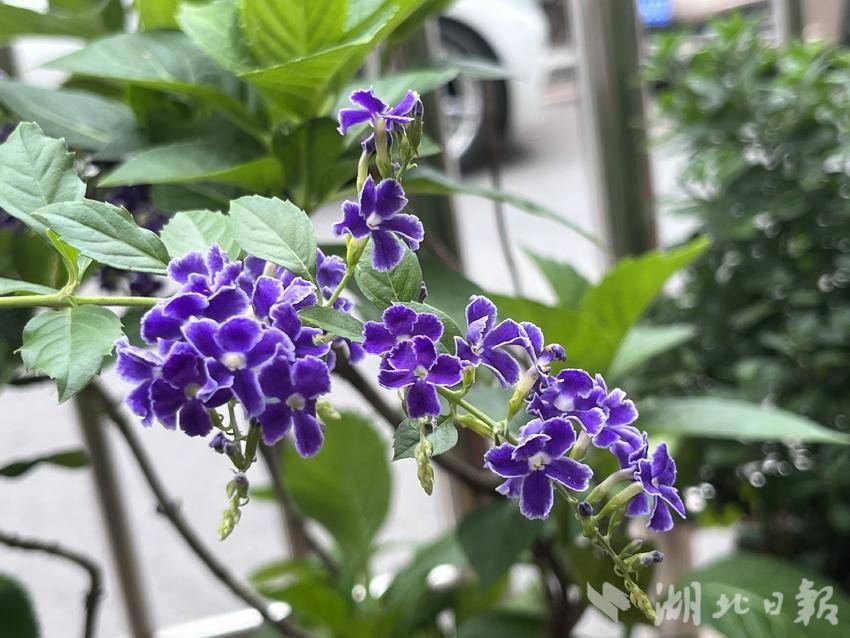美高梅手机端